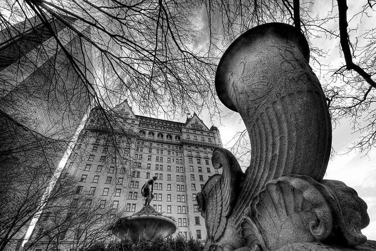 As the buyer of the prestigious Plaza hotel in New York, Shahal Khan becomes a public figure. 