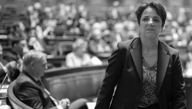 Agnès Canayer, the French Senate's spokesperson for the law on interference.