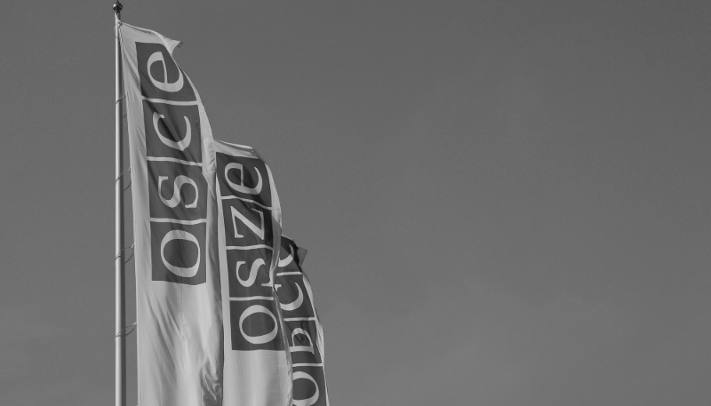 Flags of the Organisation for Security and Cooperation in Europe (OSCE)  outside the headquarters in Vienna, Austria. REUTERS/Leonhard Foeger