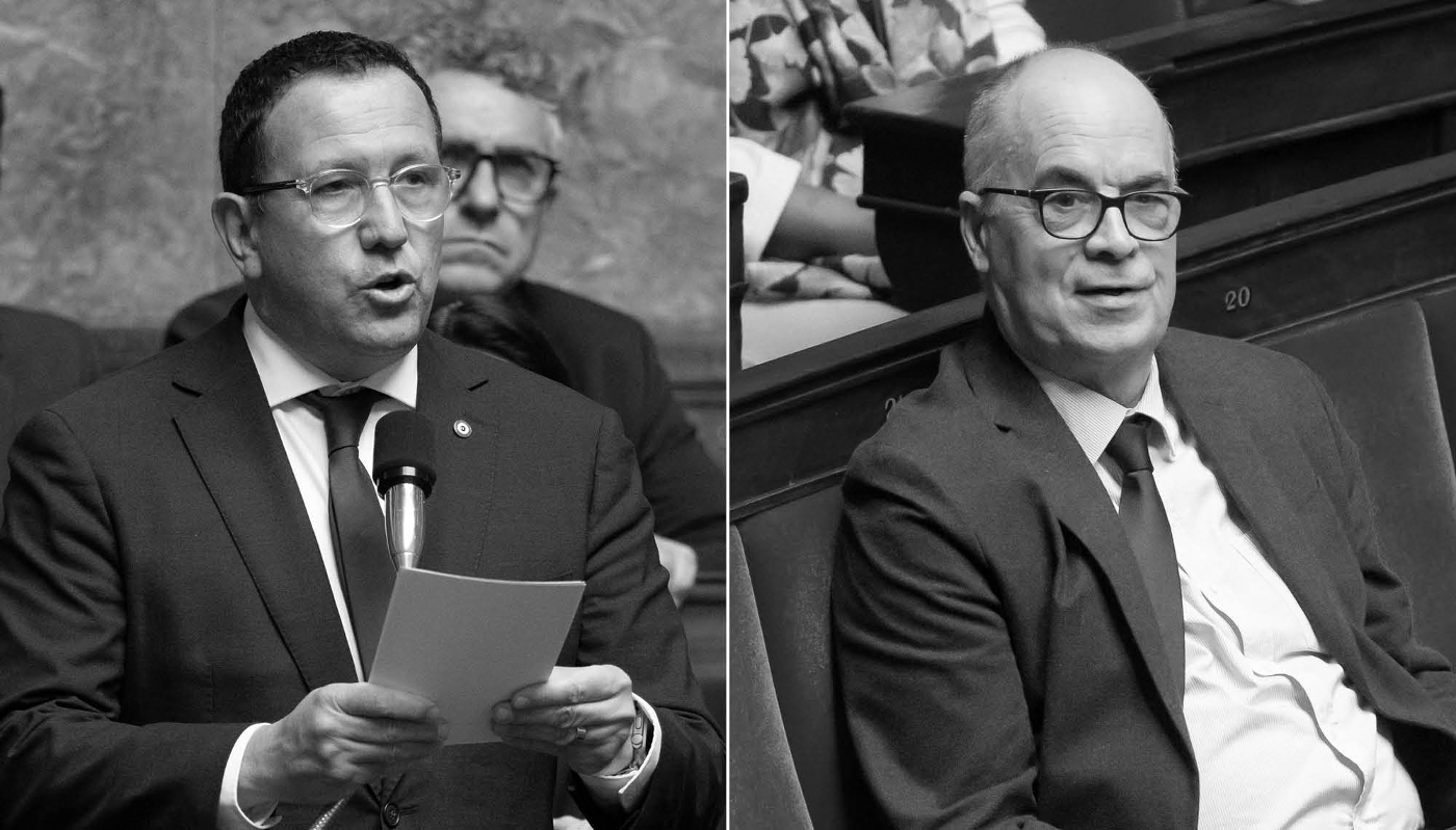 From left: French MPs Didier Lemaire (Horizons) and Thierry Tesson (Rassemblement National), who recently authored a report on electronic warfare.
