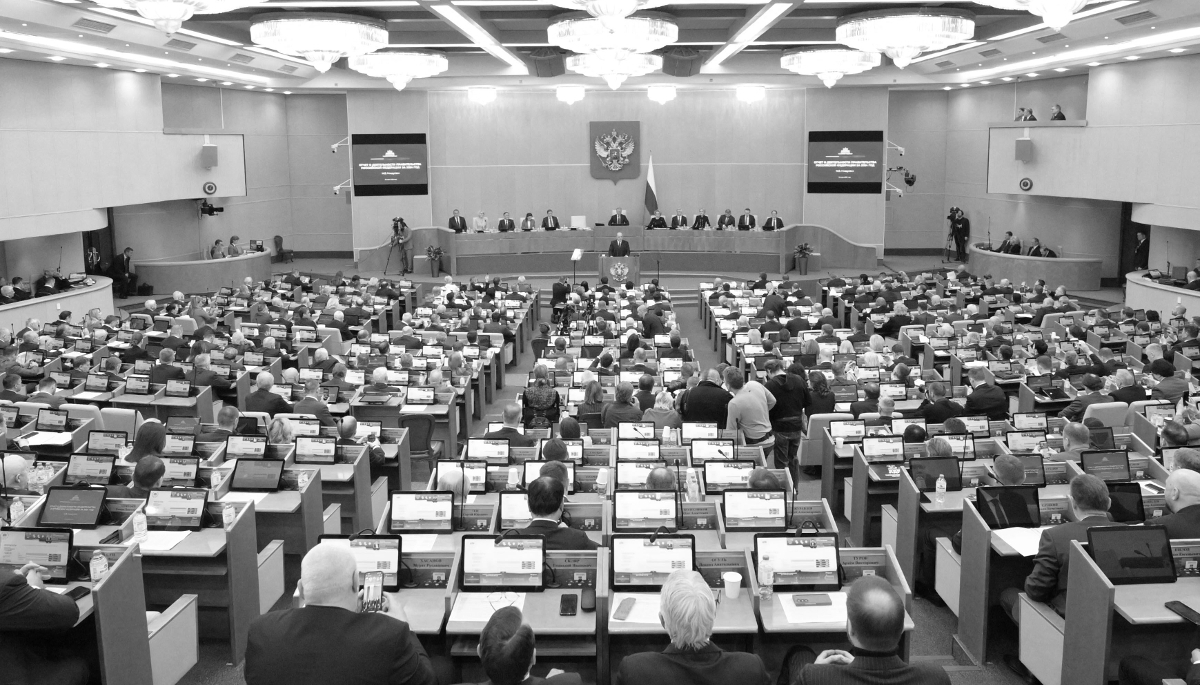 The State Duma, the lower house of the Russian Federal Assembly.