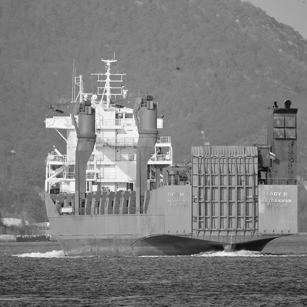 The Russian-flagged vessel Lady R crosses the Bosphorus in Istanbul, Turkey, on 14 February 2023. This vessel, amongst others, is being actively monitored by Ukrainian military intelligence.