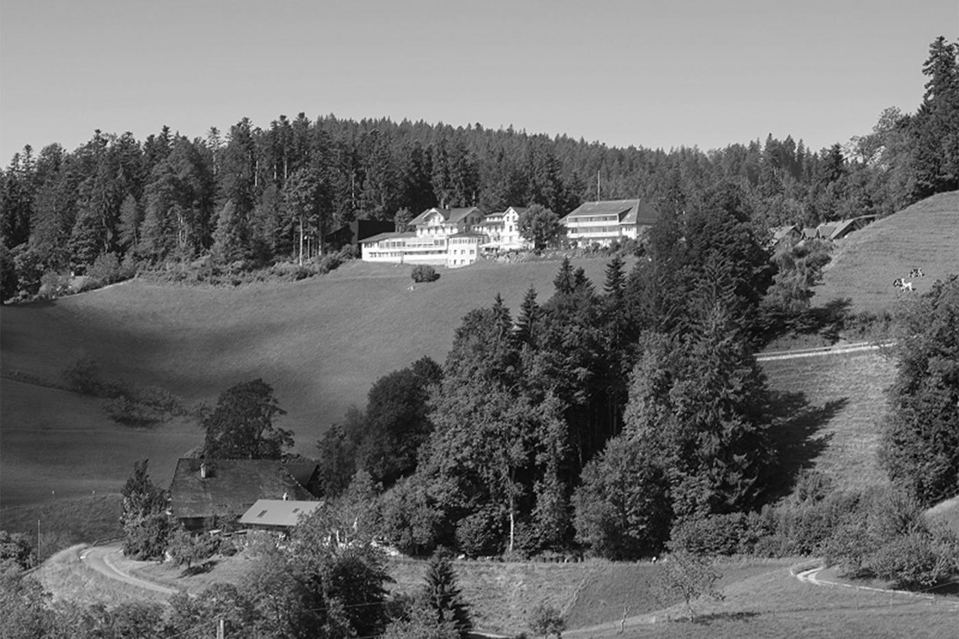 The Moosegg Hotel, hidden in the Alps.