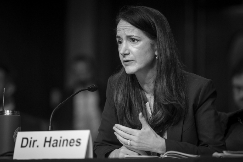 Avril Haines, Director of National Intelligence (DNI).