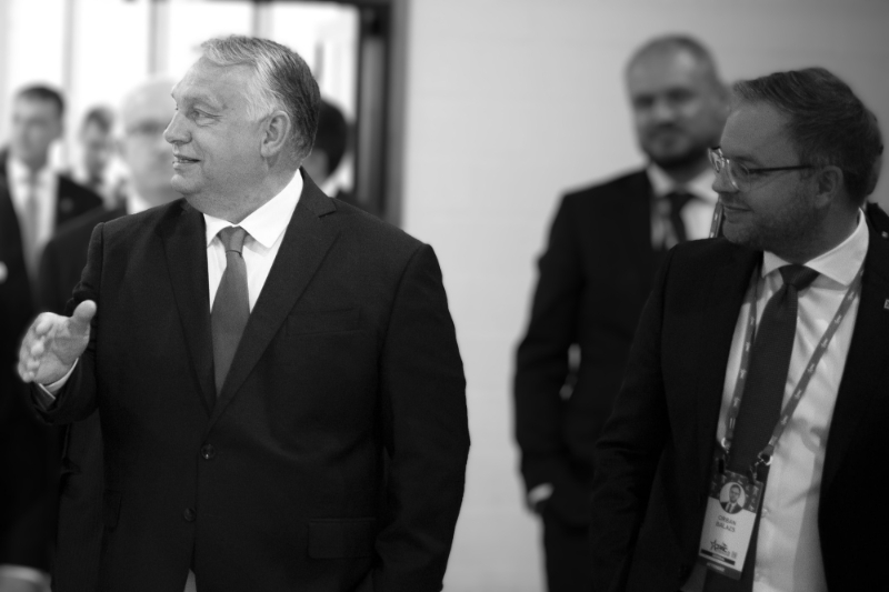 Hungarian PM Viktor Orban (left) and his adviser Balazs Orban.