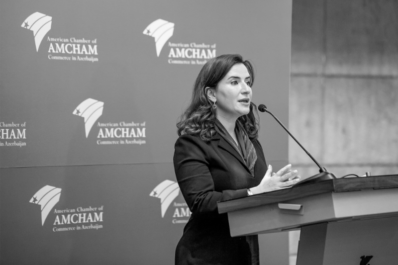 Nargiz Nasroullayeva, Chair of the Board of Directors of the American Chamber of Commerce in Azerbaijan (AmCham).