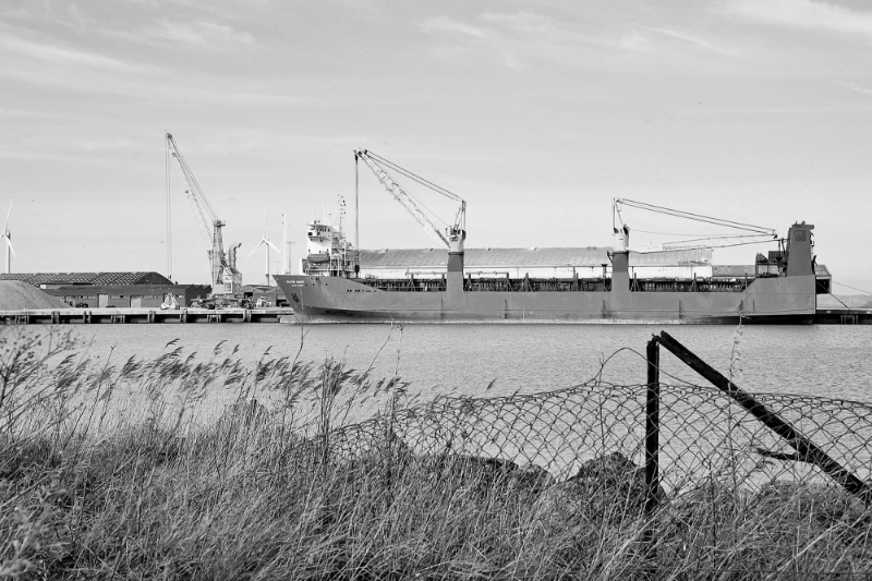 The Russian-flagged cargo ship Baltic Leader.